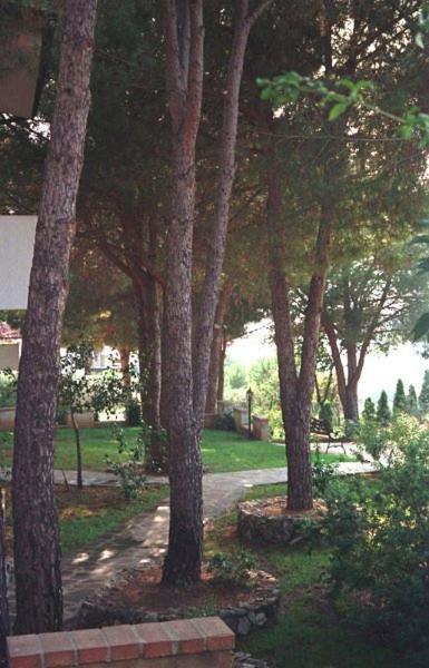 קאפו ואטיצ'אנו Villaggio Pineta Petto Bianco מראה חיצוני תמונה