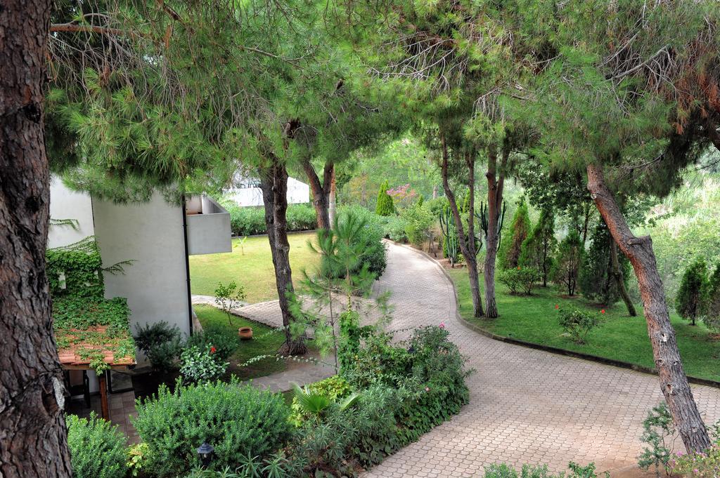 קאפו ואטיצ'אנו Villaggio Pineta Petto Bianco מראה חיצוני תמונה